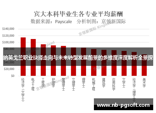 纳英戈兰职业抉择走向与未来转型发展前景的多维度深度解析全景探