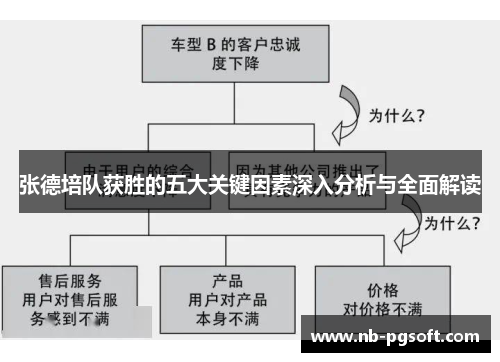 张德培队获胜的五大关键因素深入分析与全面解读