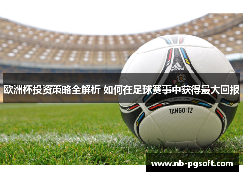 欧洲杯投资策略全解析 如何在足球赛事中获得最大回报